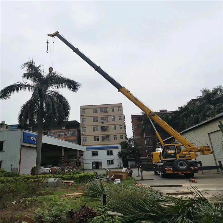 椰林镇汽车吊出租多少钱？全面解析与市场行情